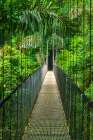 Suspension bridge at Mistico Hanging Bridges, Alajuela Province, Costa Rica Art Print